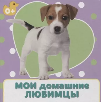 Мои домашние любимцы