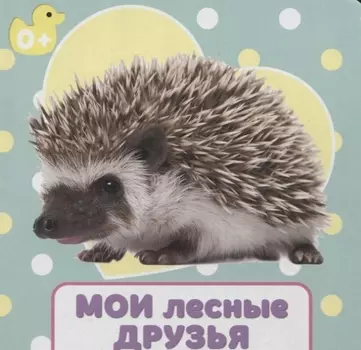 ЦК 145х145. МОИ ЛЕСНЫЕ ДРУЗЬЯ