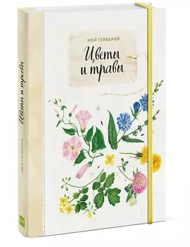 Мой гербарий Цветы и травы