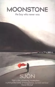 Moonstone The Boy Who Never Was