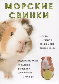 Морские свинки