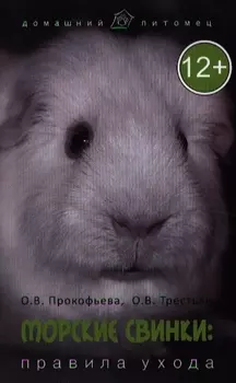 Морские свинки правила ухода