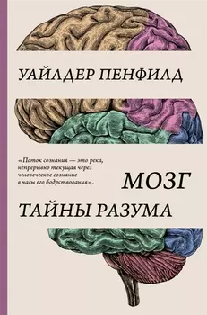 Мозг Тайны разума