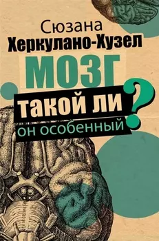 Мозг. Такой ли он особенный?