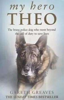 My Hero Theo