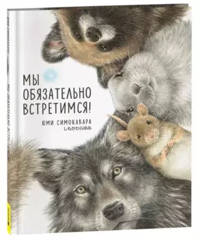 Мы обязательно встретимся!: сказка