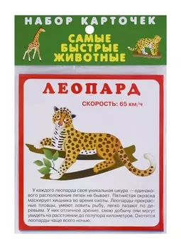 Набор карточек "Самые быстрые животные"