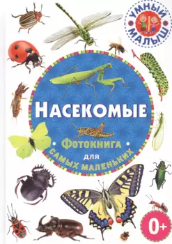 Насекомые. Фотокнига для самых маленьких