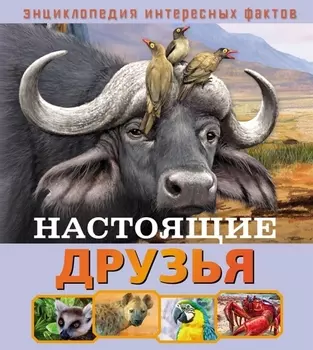 Настоящие друзья
