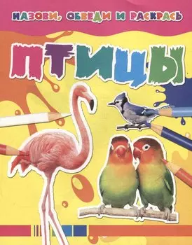 Назови, обведи и раскрась. Птицы