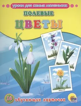 ОБУЧАЮЩИЕ КАРТОЧКИ. ПОЛЕВЫЕ ЦВЕТЫ