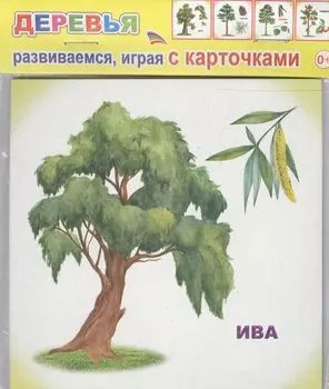 Обучающие карточки. Деревья