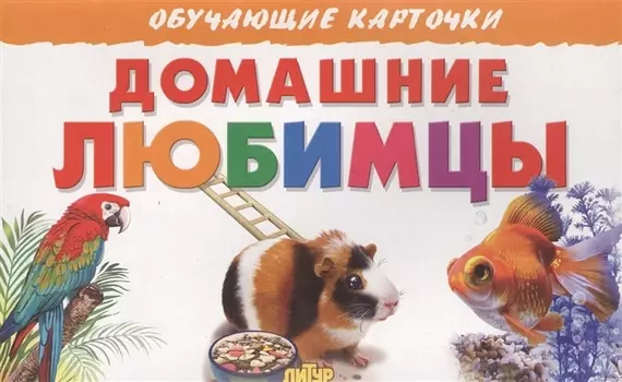 Домашние любимцы