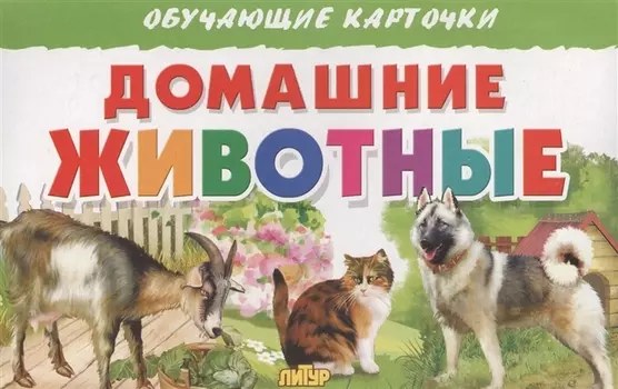 Обуч.карт.Домашние животные