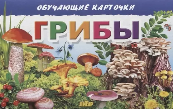Обучающие карточки "Грибы"