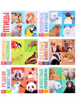 Обучающие книги набор «Удивительный мир» (комплект из 6-ти книг)