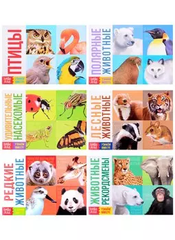 Обучающие книги набор «Удивительный мир» (комплект из 6-ти книг)