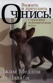 Очнись Выжить и преуспеть в грядущем экономическом хаосе