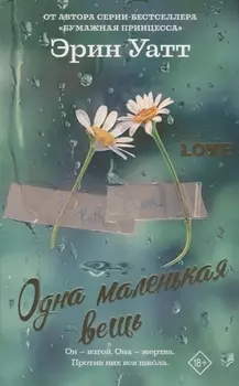 Одна маленькая вещь