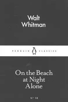 On the Beach at Night Alone