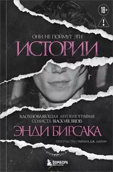 Они не поймут эти истории: Вдохновляющая автобиография солиста Black Veil Brides Энди Бирсака