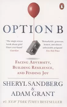 Option B. Facing Adversity, Building Resilience, and Finding Joy