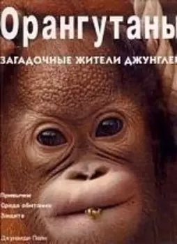 ОРАНГУТАНЫ Загадочные жители джунглей