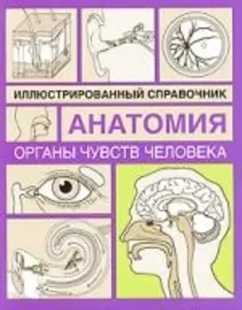 Органы чувств человека Илл справочник
