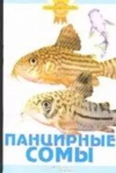 Панцирные сомы