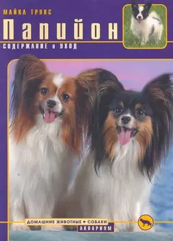 Папийон Содержание и уход