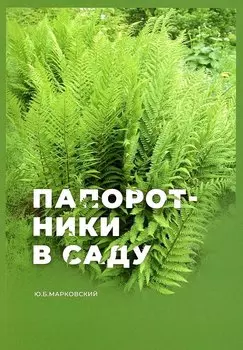 Папоротники в саду