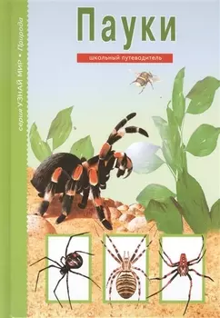 Пауки.