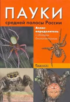 Пауки средней полосы России