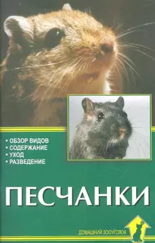 Песчанки. Обзор видов. Содержание. Уход. Разведение.