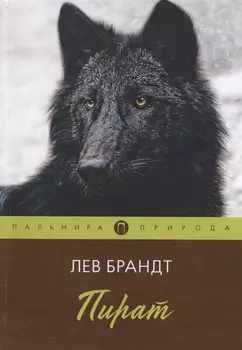 Пират