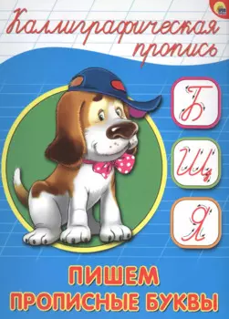 КАЛЛИГРАФИЧЕСКАЯ ПРОПИСЬ А5. ПИШЕМ ПРОПИСНЫЕ БУКВЫ