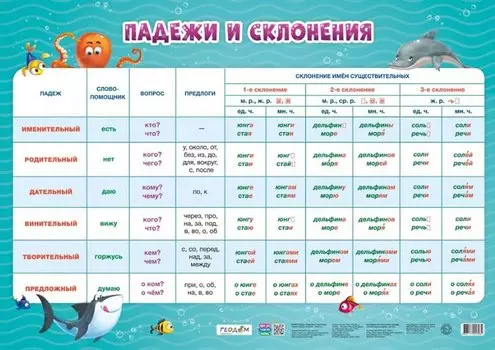 Плакат дидактический. Падежи и склонения