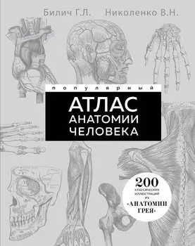 Популярный атлас анатомии человека. 200 классических иллюстраций из «Анатомии Грея»