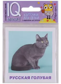Умный малыш. Породы кошек Набор карточек для детей.