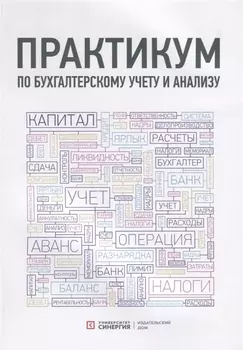 Практикум по бухгалтерскому учету и анализу