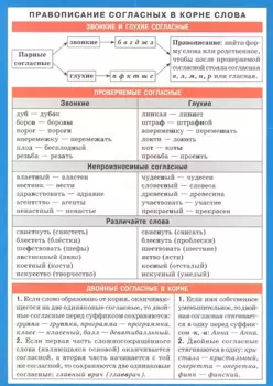 Правописание согласных в корне слова. Наглядно-раздаточное пособие
