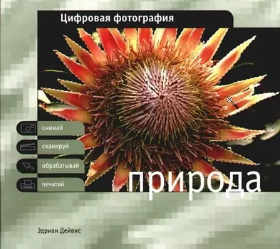 Цифровая фотография: Природа