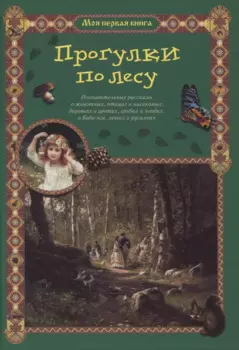 Прогулки по лесу