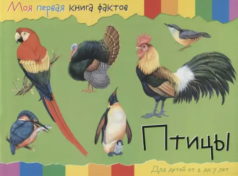 Птицы (2-7 лет) (+ накл.) (мМояПервКнФакт)