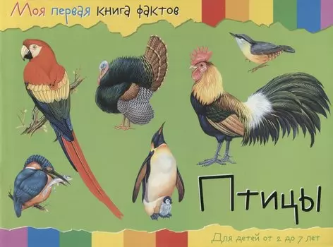 Птицы (2-7 лет) (+ накл.) (мМояПервКнФакт)