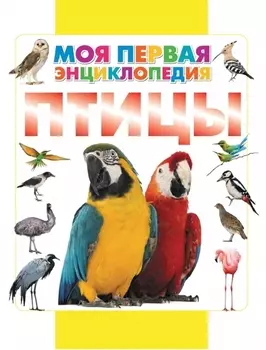 Птицы