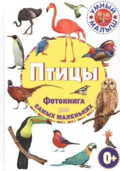 Птицы. Фотокнига для самых маленьких