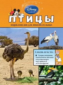 Птицы Энциклопедия для любознательных
