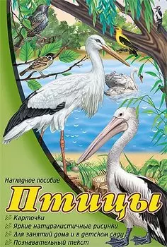 Птицы: набор карточек