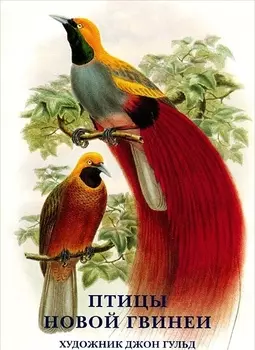 Птицы Новой Гвинеи Набор открыток